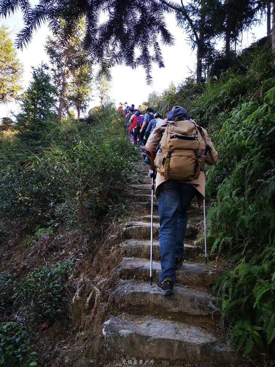 微信图片_20191118121014