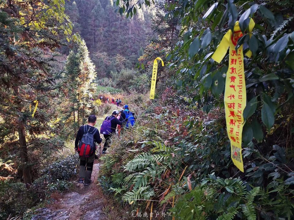 微信图片_20191118121019