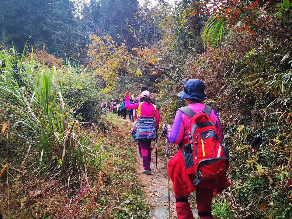 微信图片_20191118121048