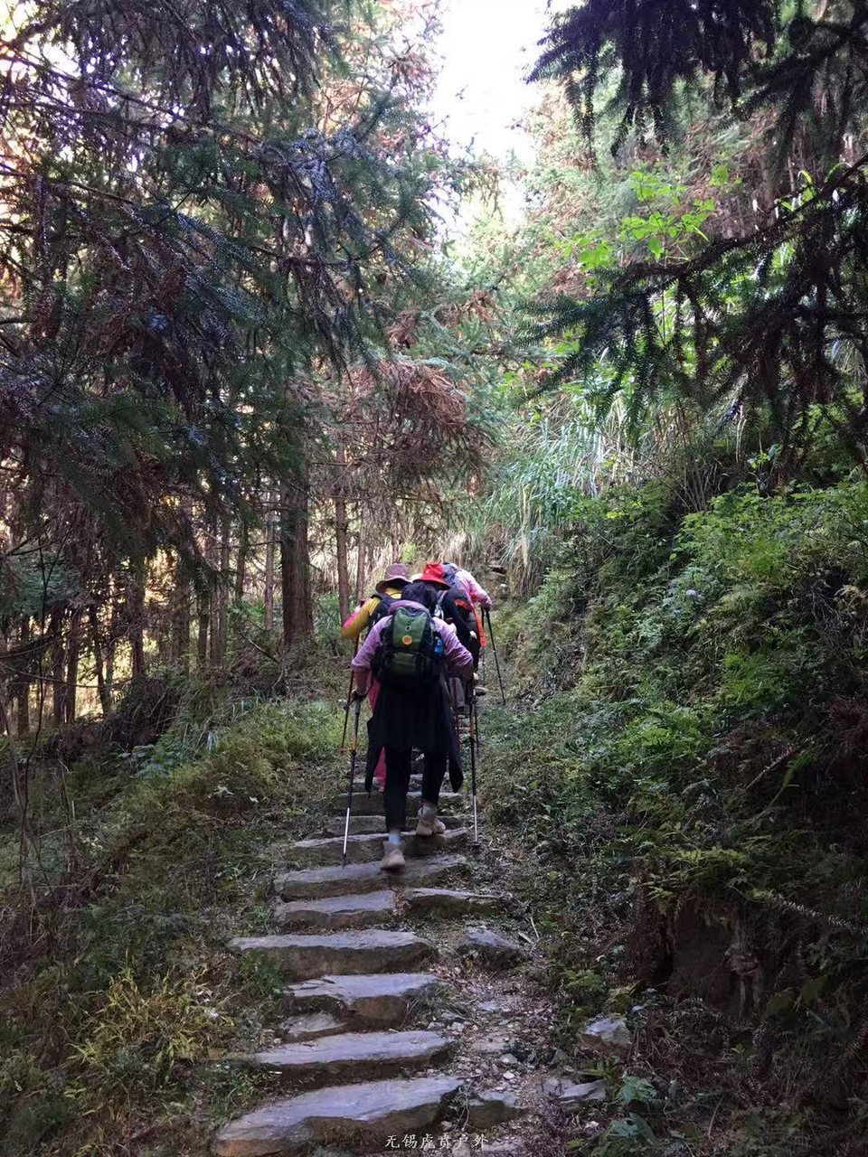 微信图片_20191118121326