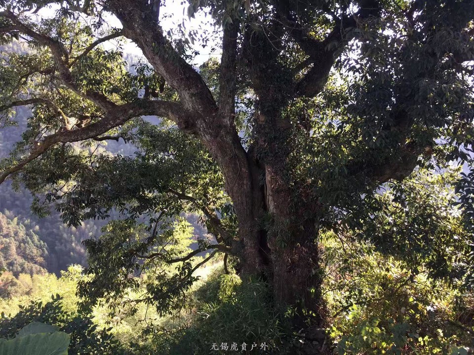 微信图片_20191118121348