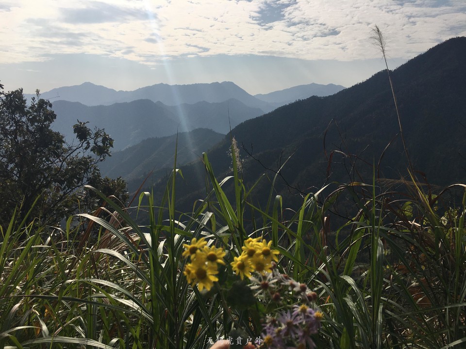 微信图片_20191118121616