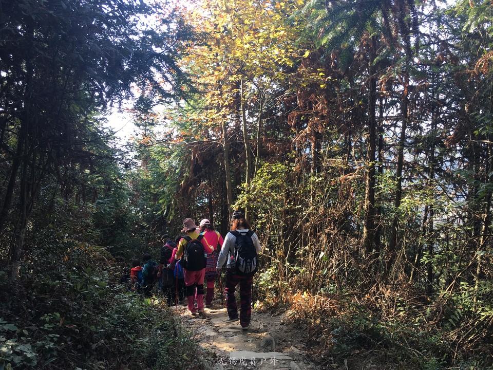 微信图片_20191118121638