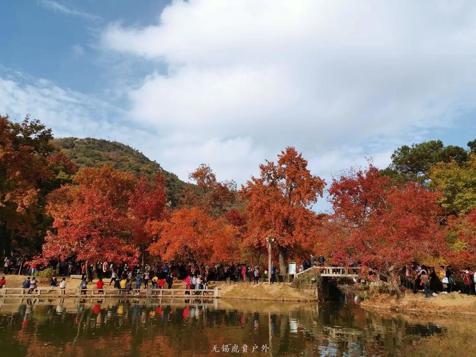 微信图片_20191123195425