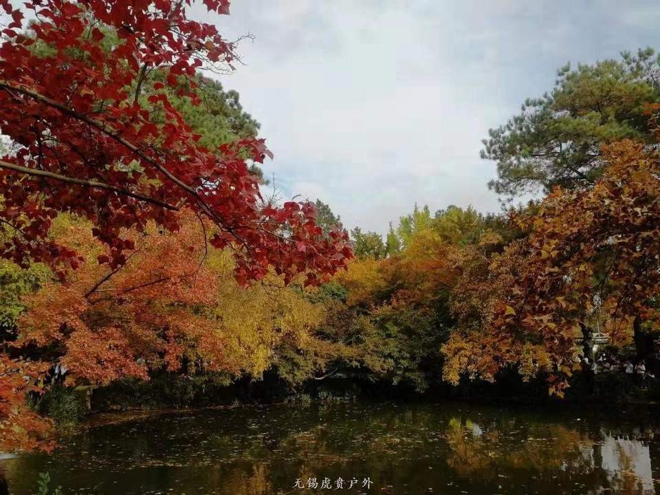 微信图片_20191123195428