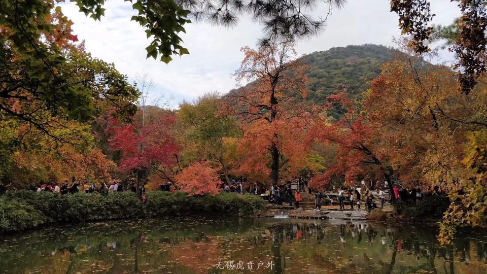 微信图片_20191123195432