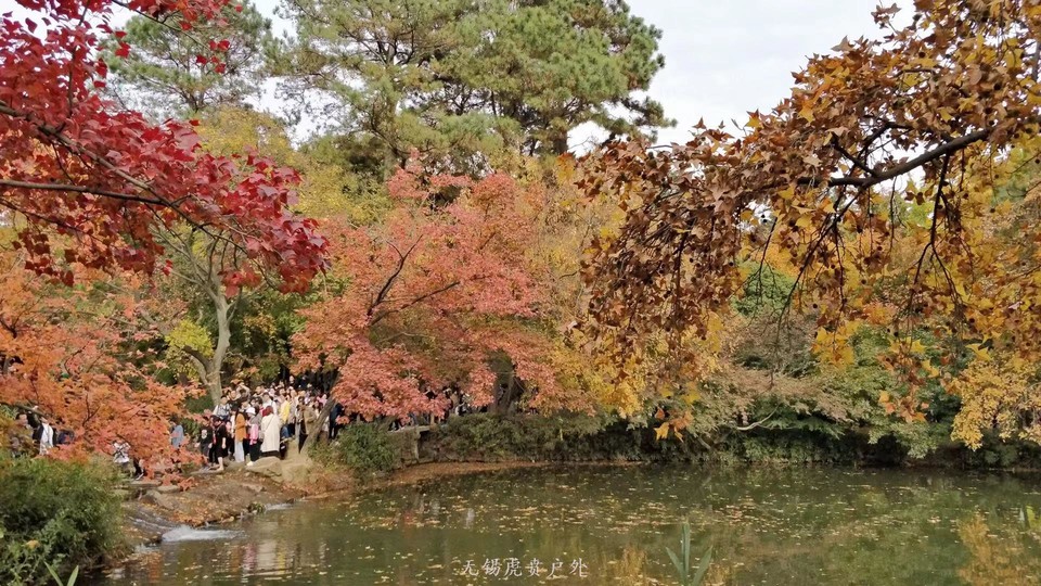 微信图片_20191123195439