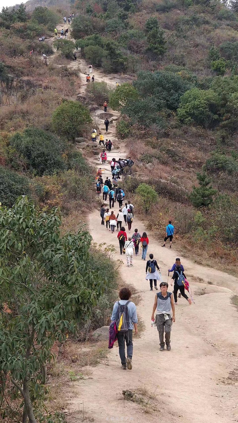 微信图片_20191123195443