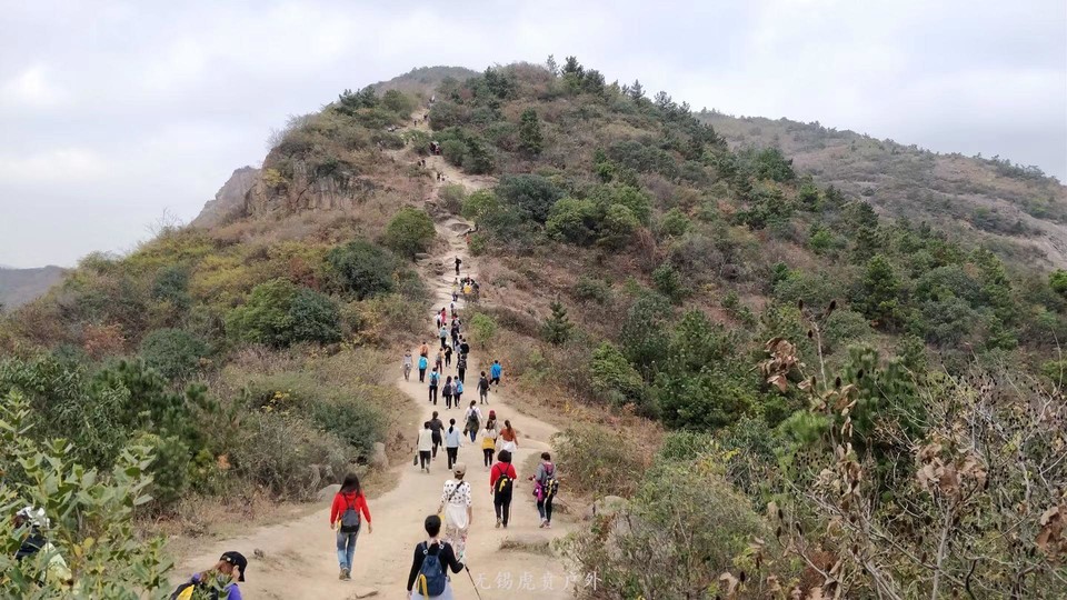 微信图片_20191123195448