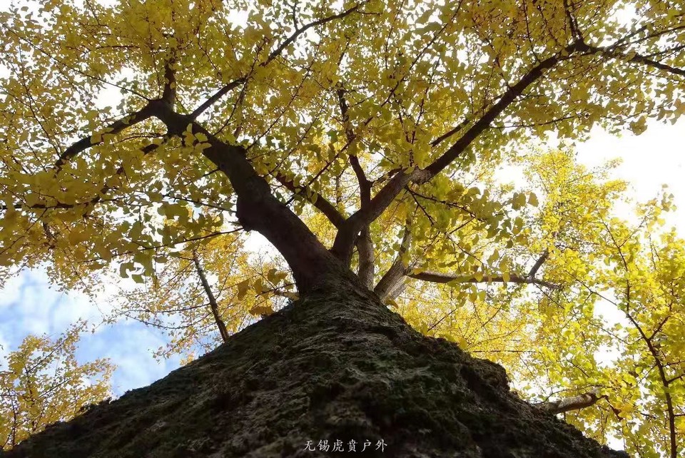 微信图片_20191123195509