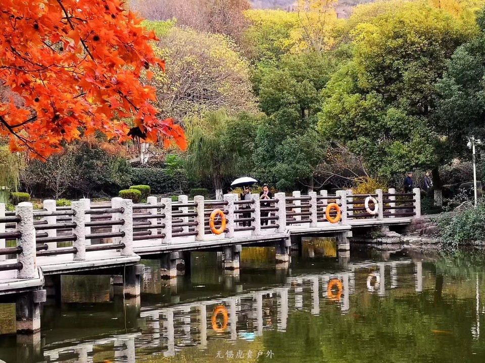 微信图片_20191123195517