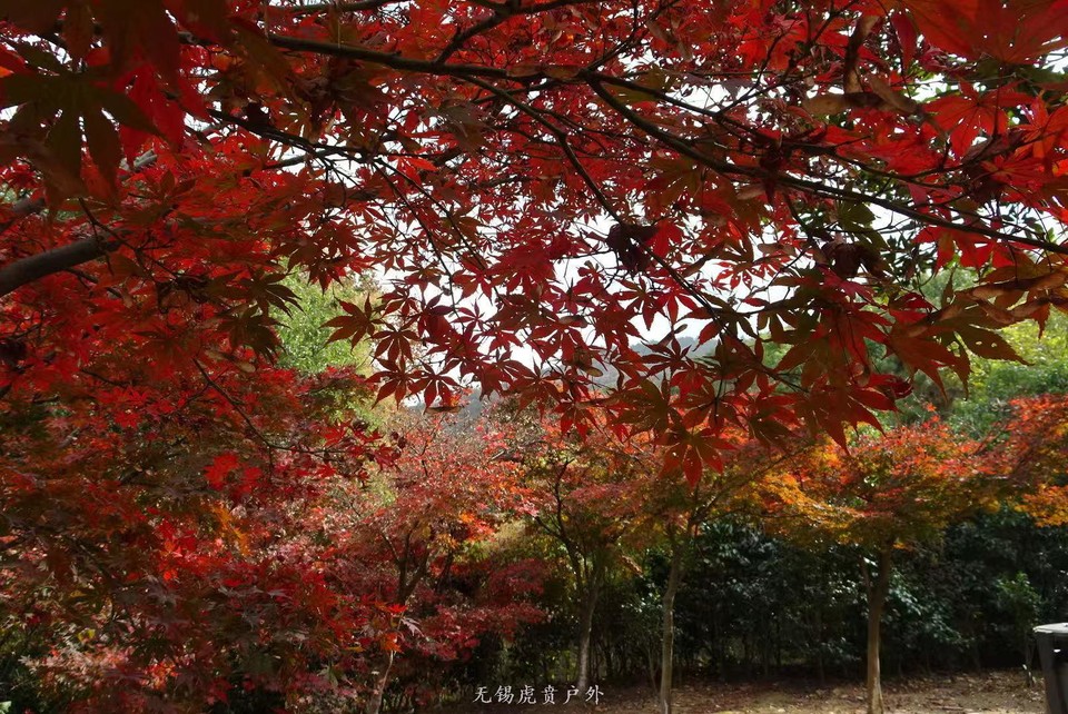 微信图片_20191123195523