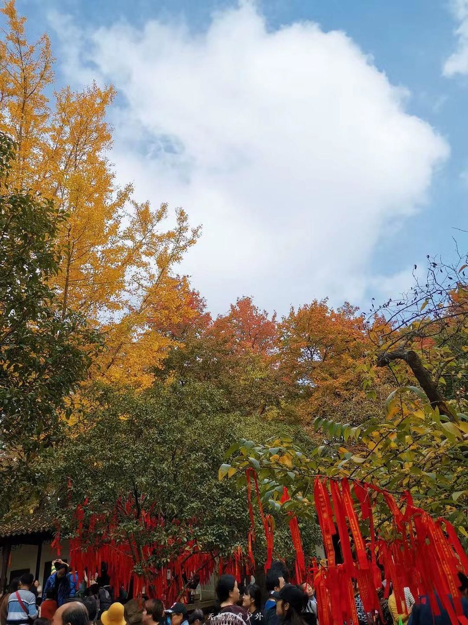 微信图片_20191123195530