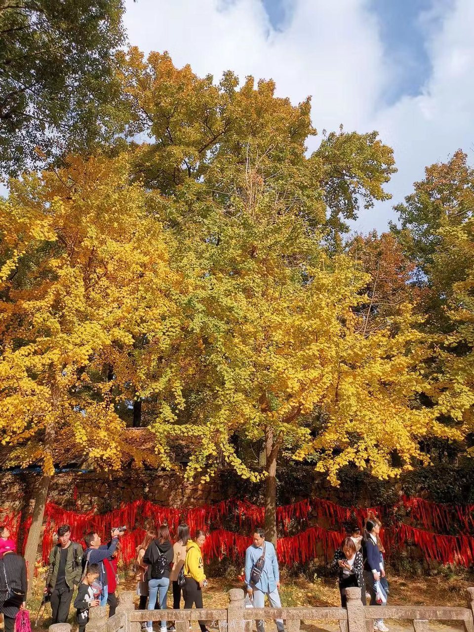 微信图片_20191123195533