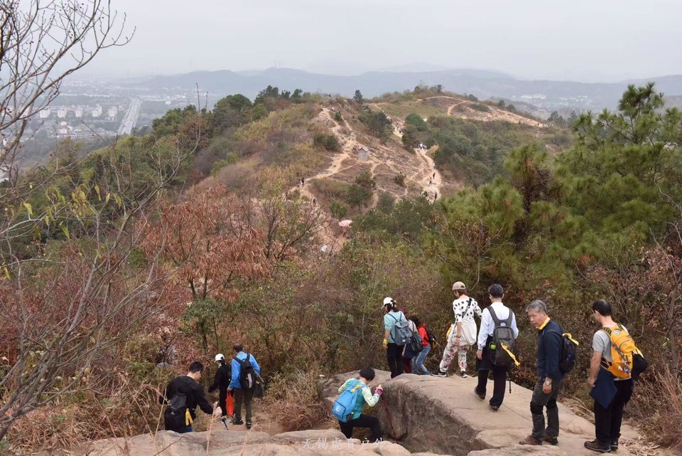 微信图片_20191124183339