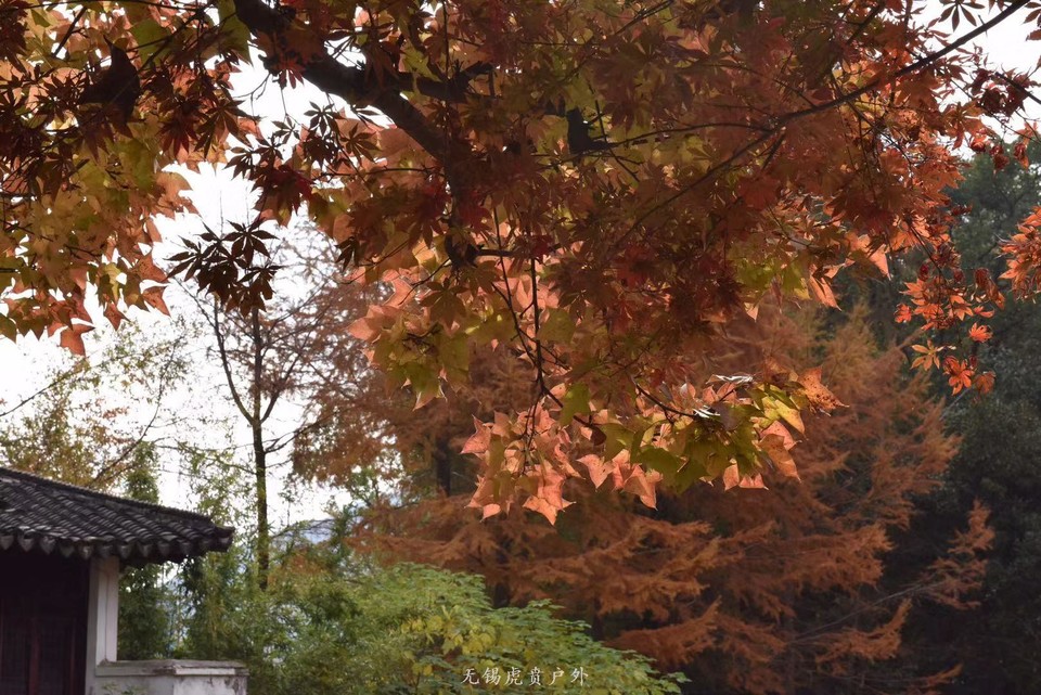 微信图片_20191124183402