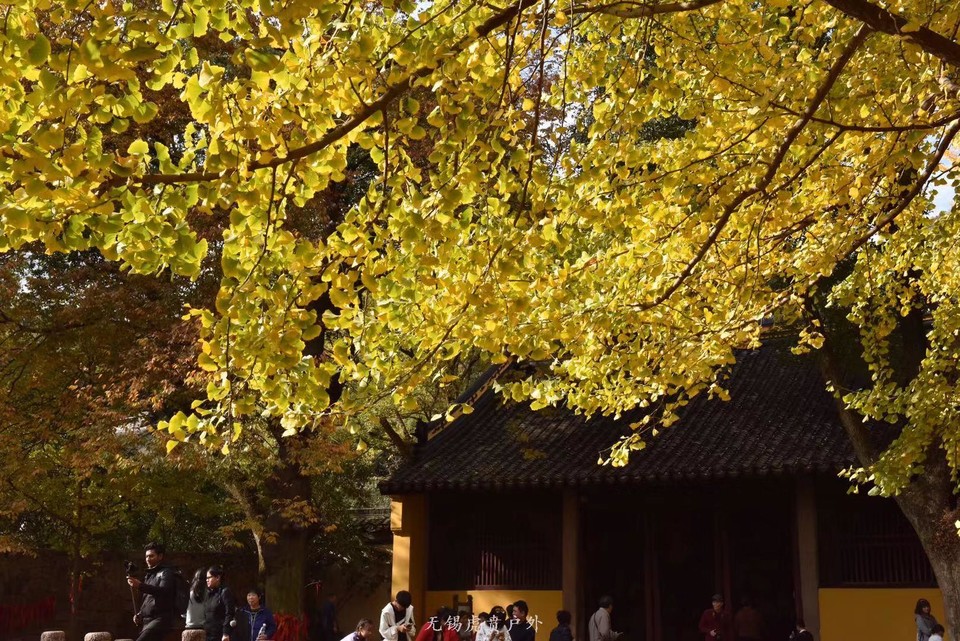 微信图片_20191124183408