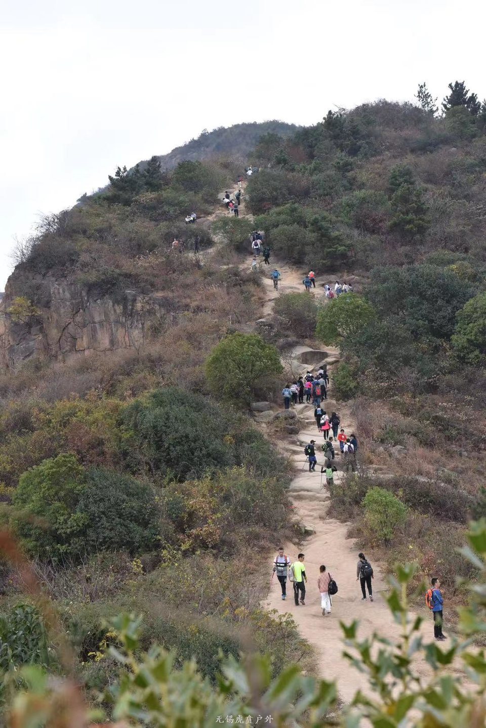 微信图片_20191124183411