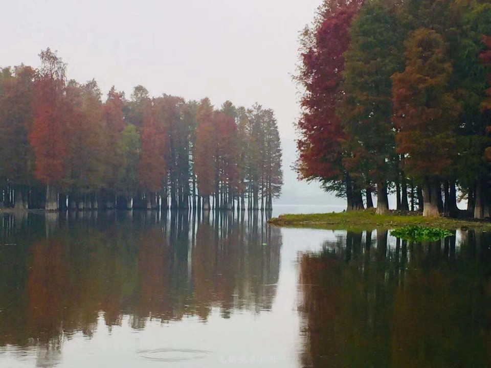 微信图片_20191123193812