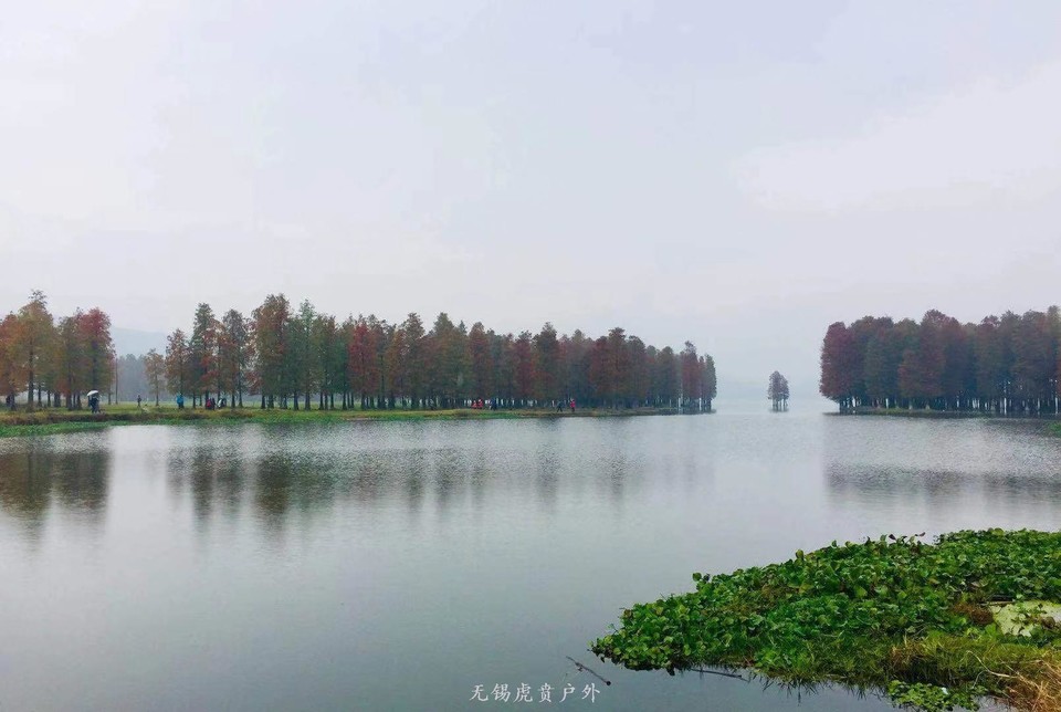 微信图片_20191123193817