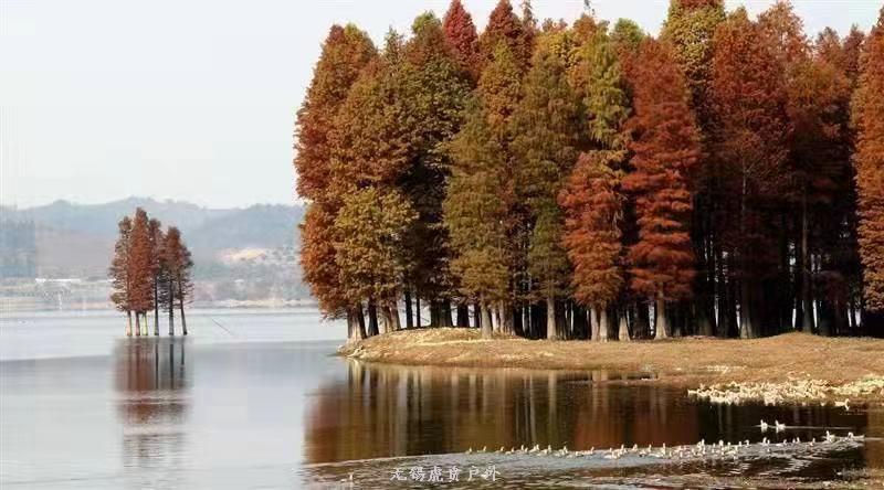 微信图片_20191123193820