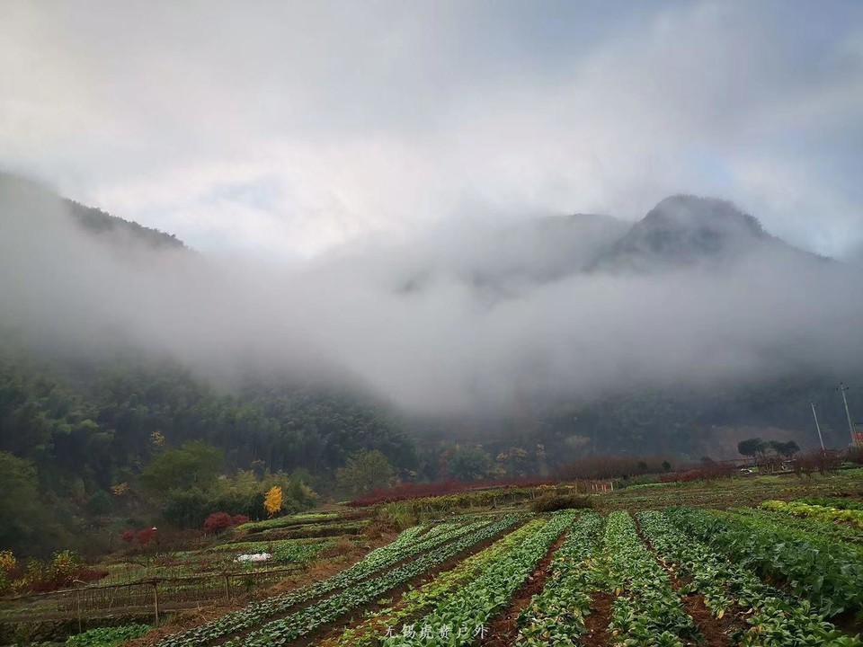 微信图片_20191124180445