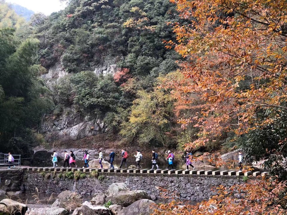 微信图片_20191124180504