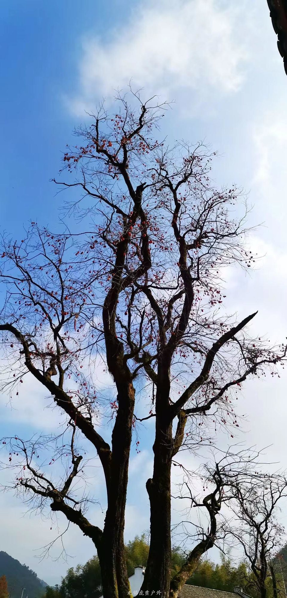 微信图片_20191124180512