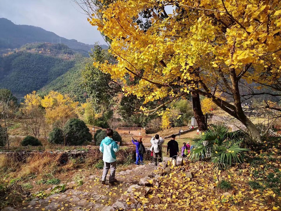 微信图片_20191124180518