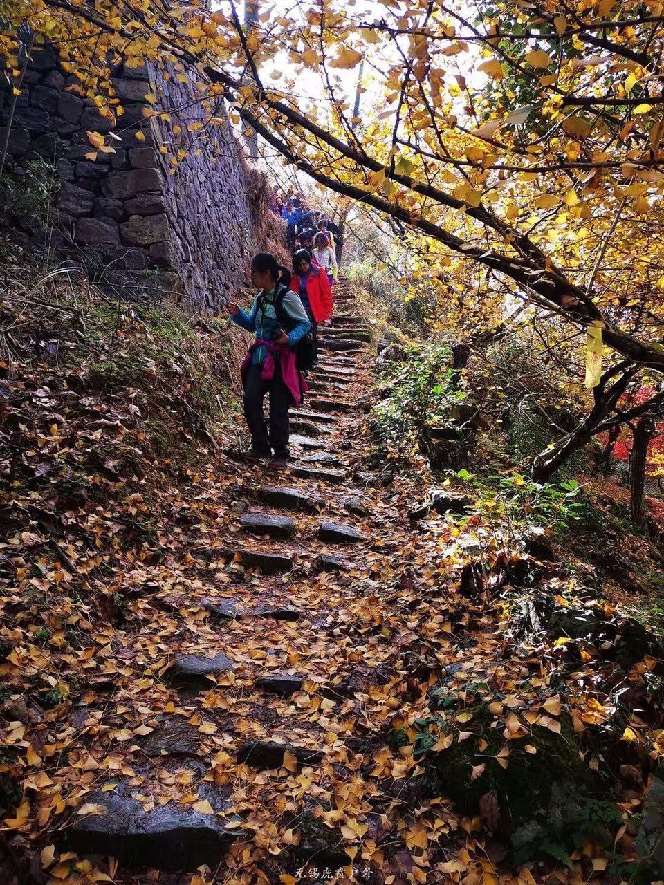 微信图片_20191124180521