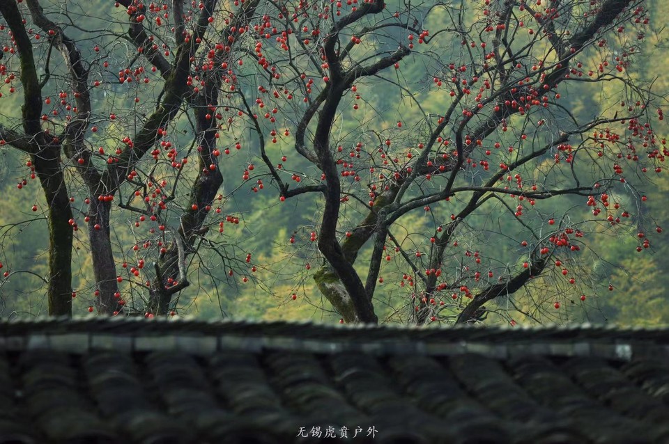 微信图片_20191124180529