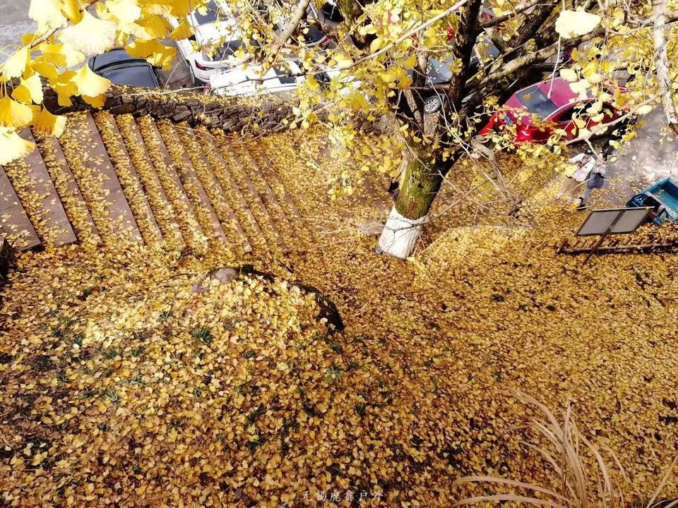 微信图片_20191124180532