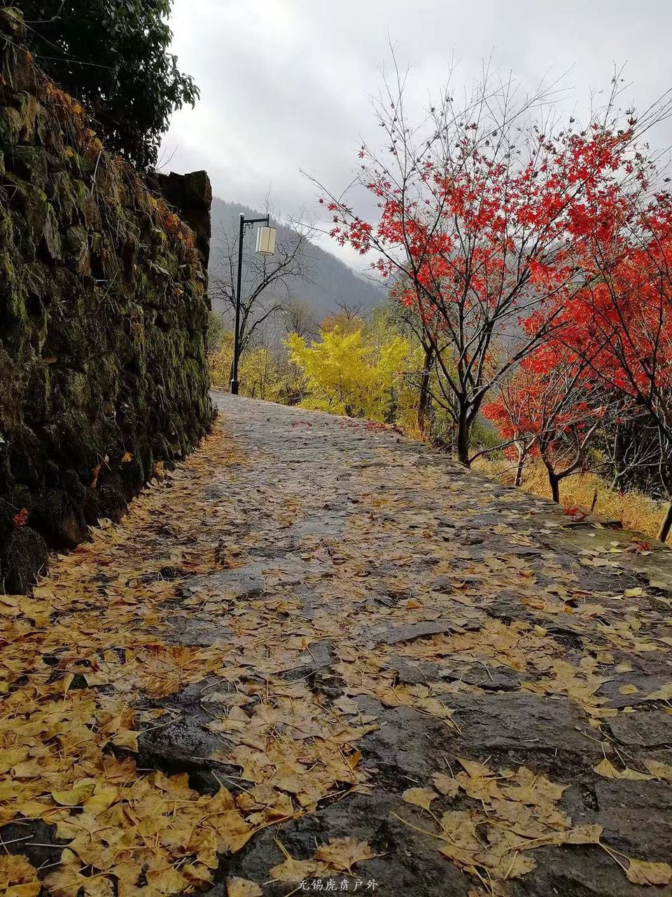 微信图片_20191124180535