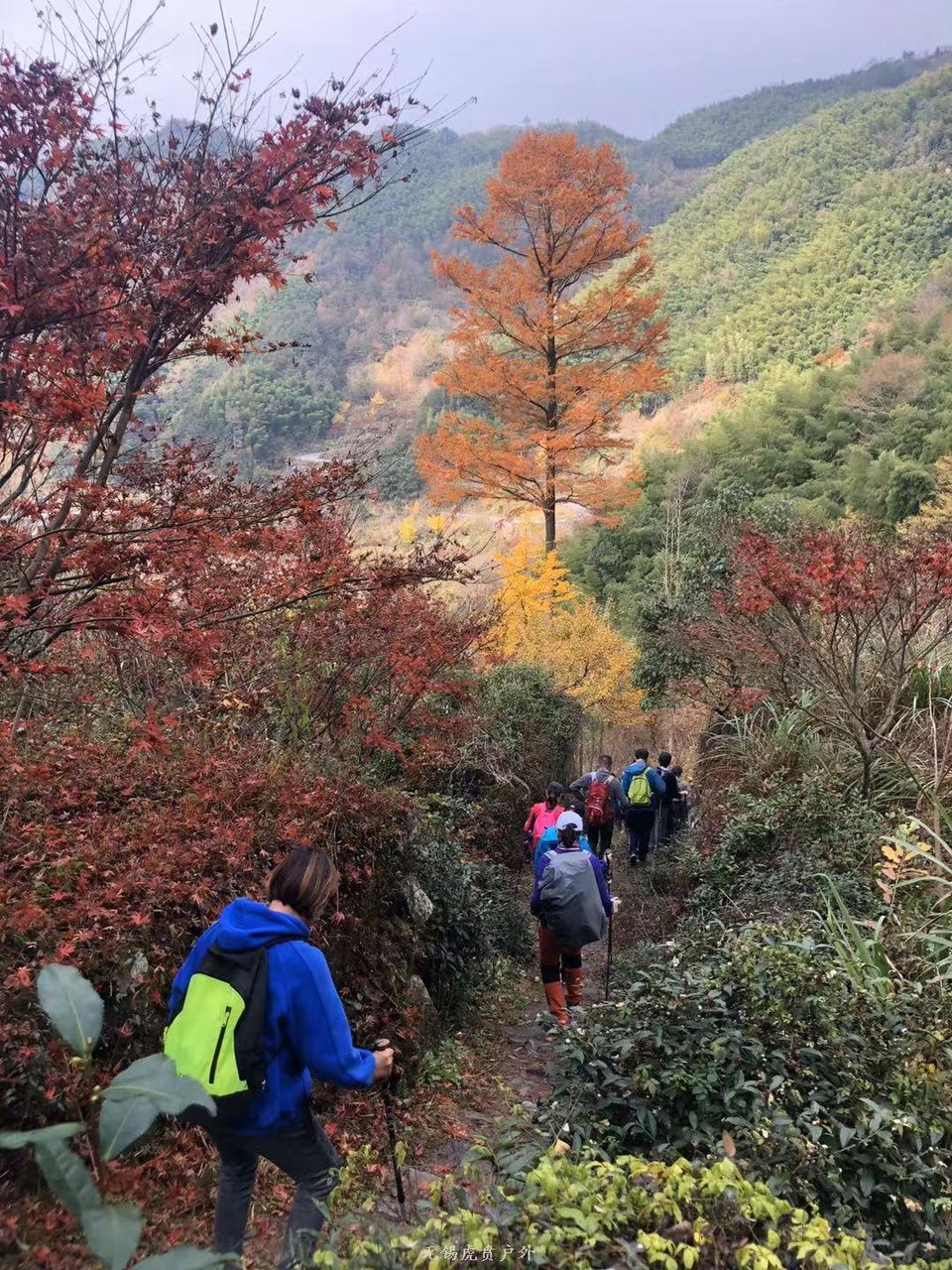 微信图片_20191124180540