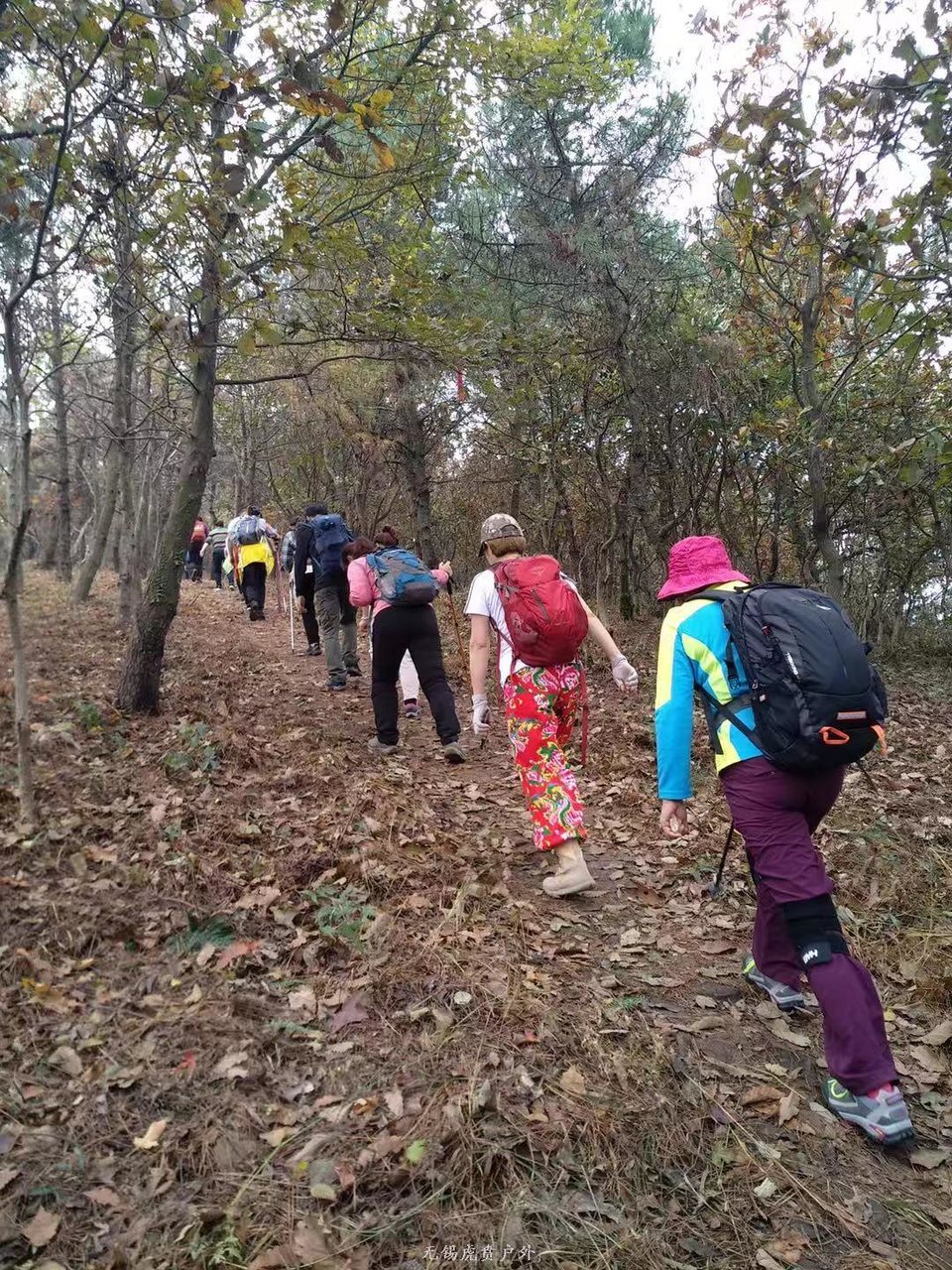 微信图片_20191124181519