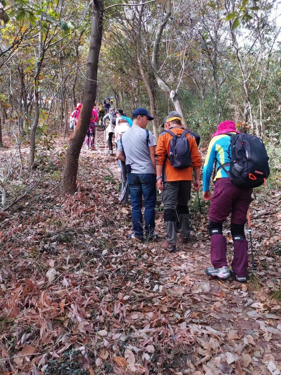 微信图片_20191124181555