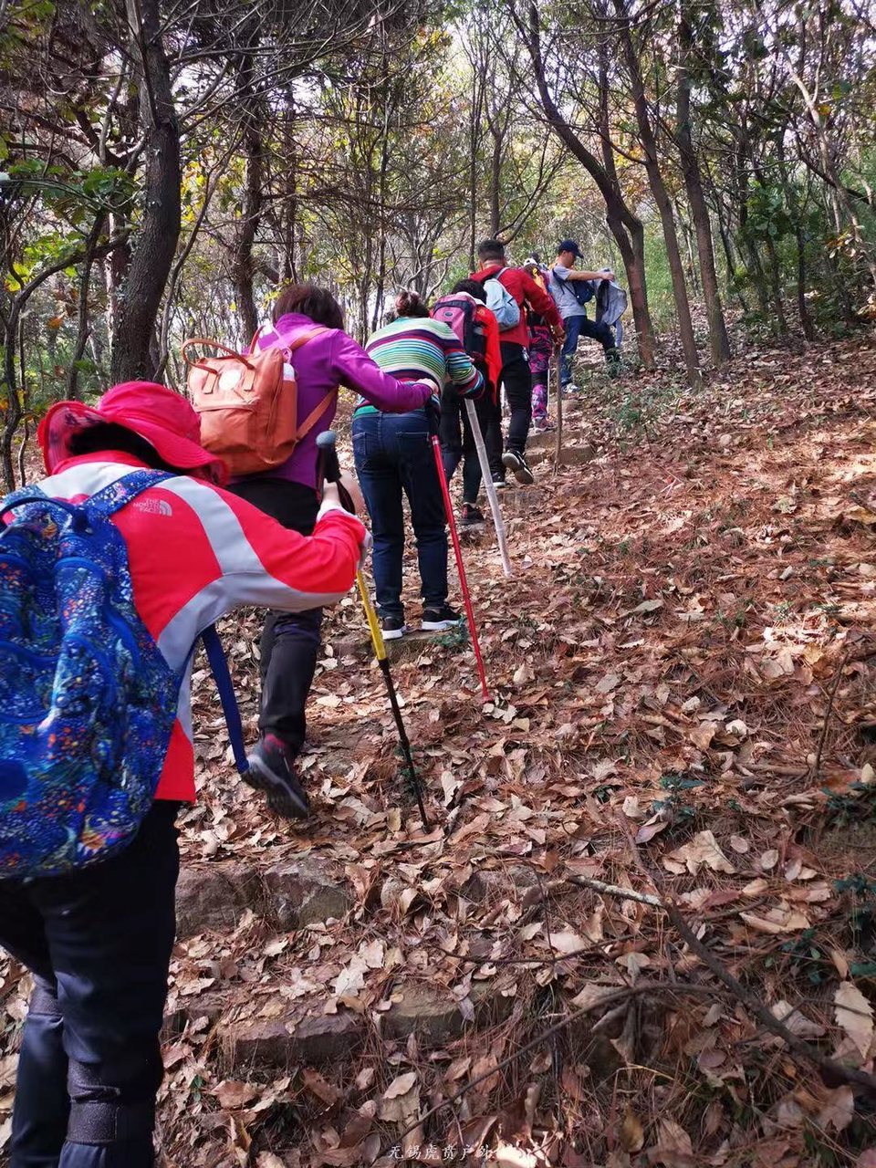 微信图片_20191124181558