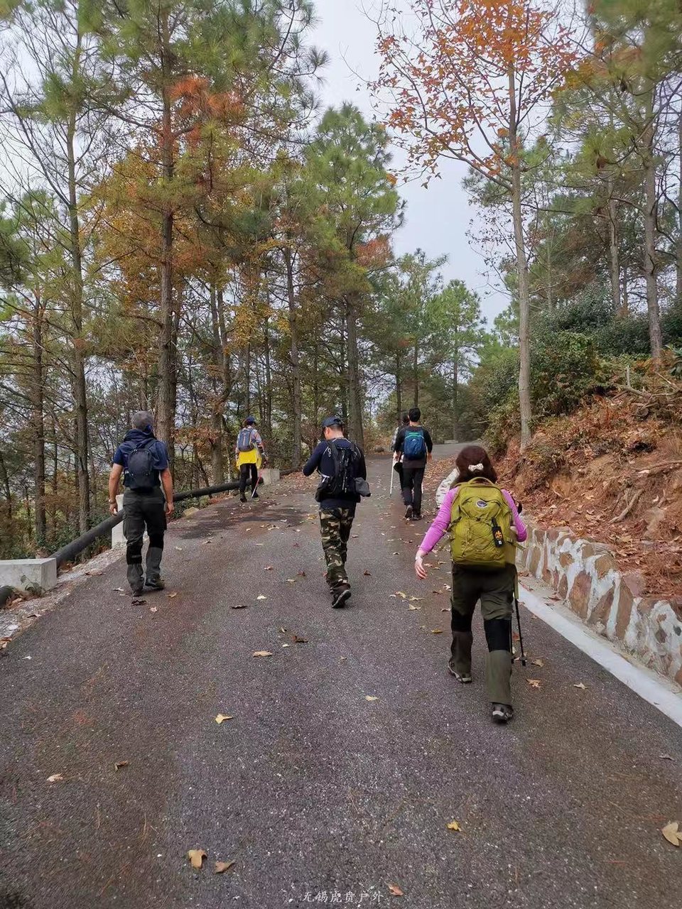 微信图片_20191124181601