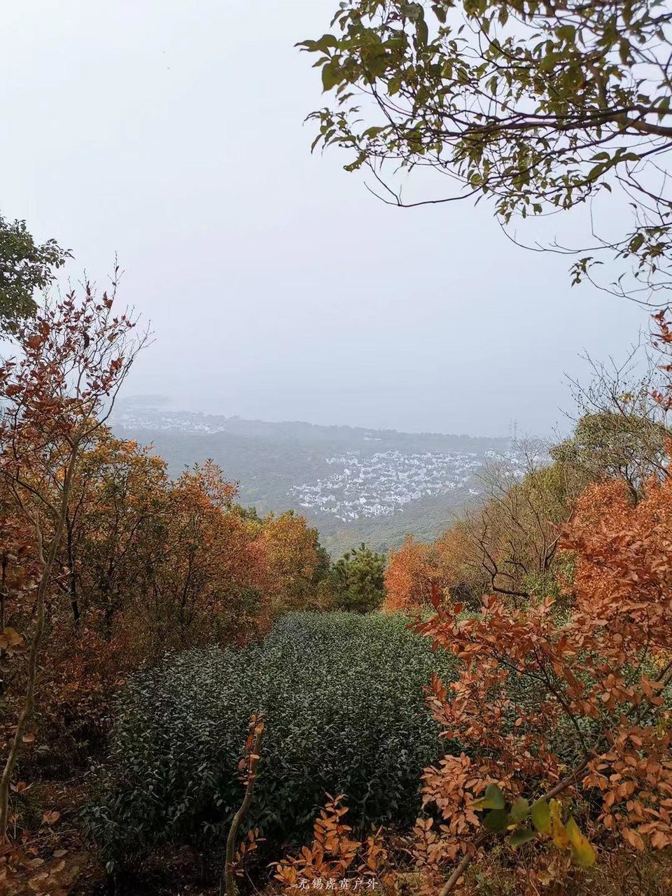 微信图片_20191124181608