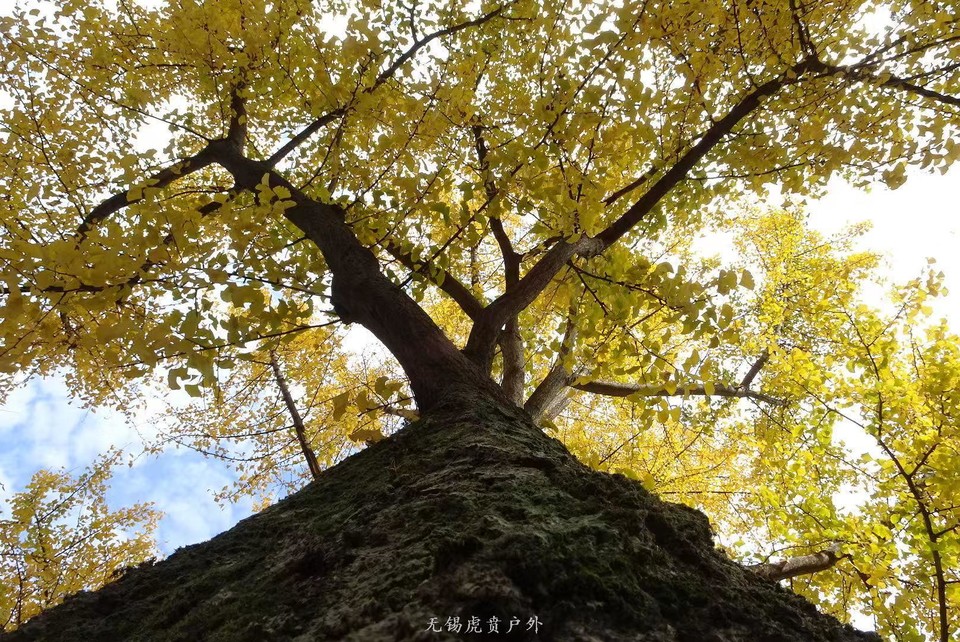 微信图片_20191124181633