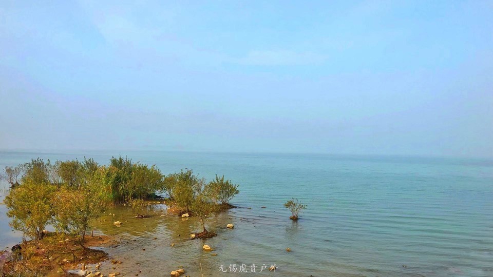 微信图片_20191124181637