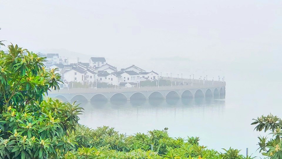 微信图片_20191124181641