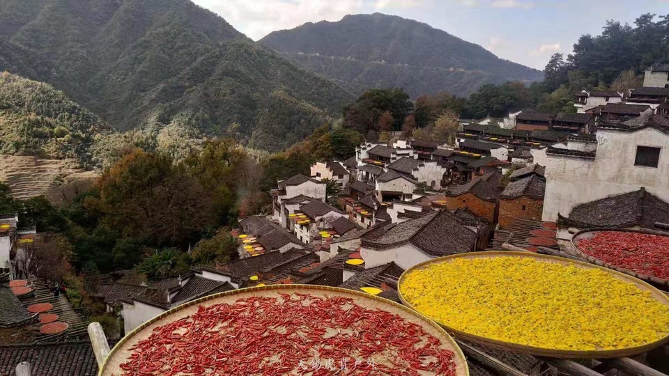 微信图片_20191123192842