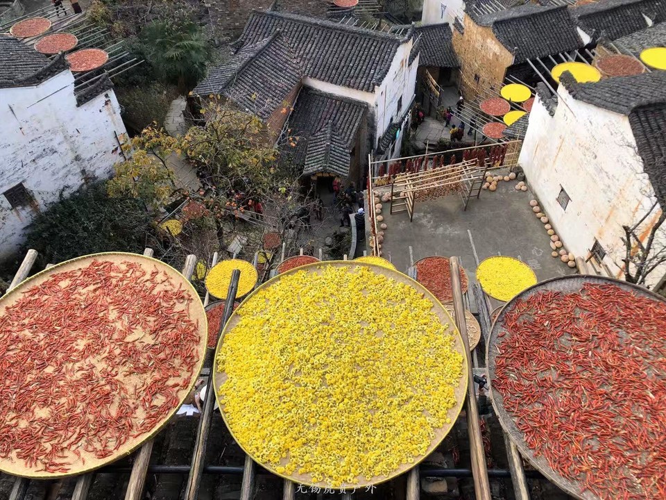 微信图片_20191123192849