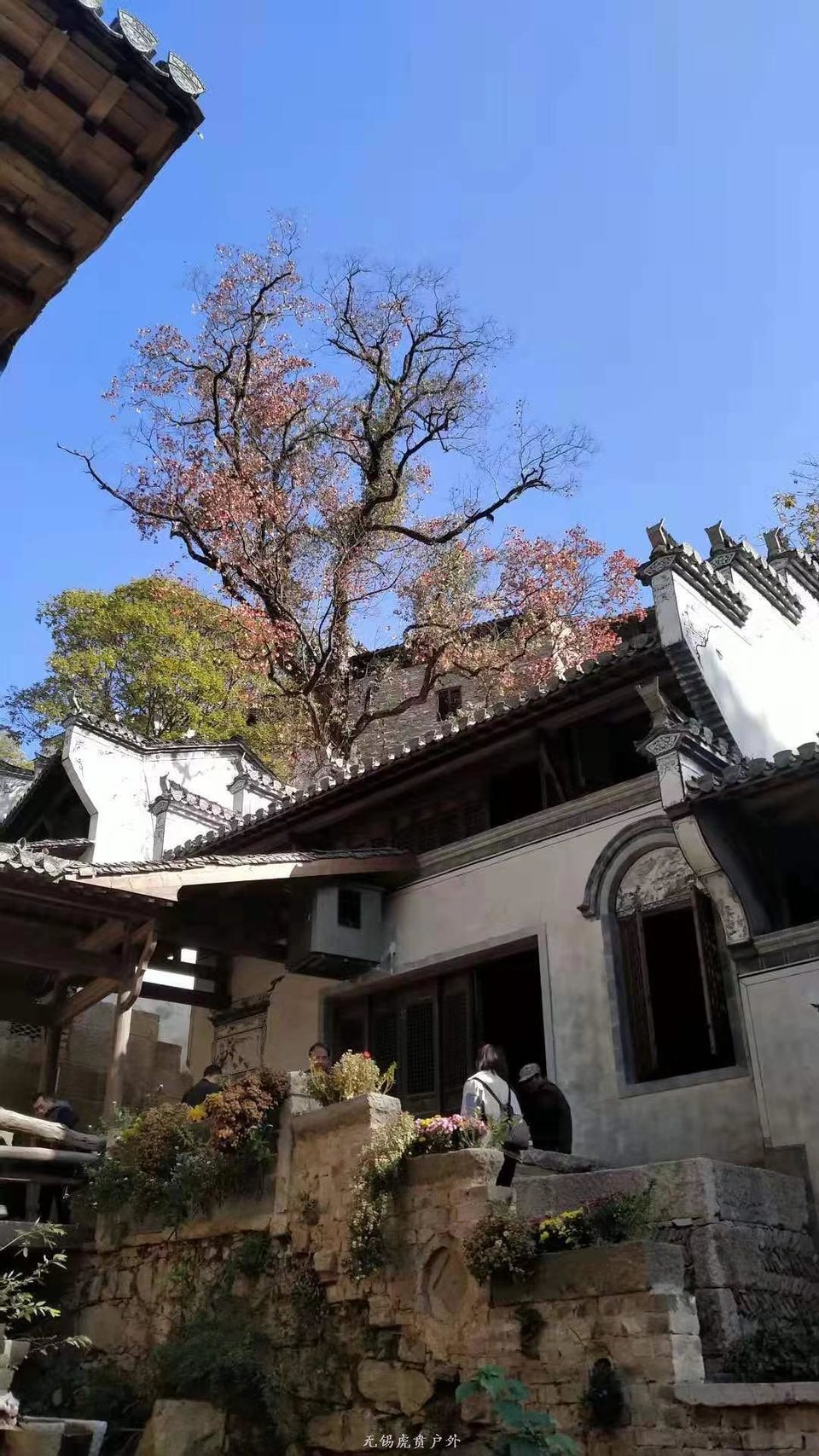 微信图片_20191123192915