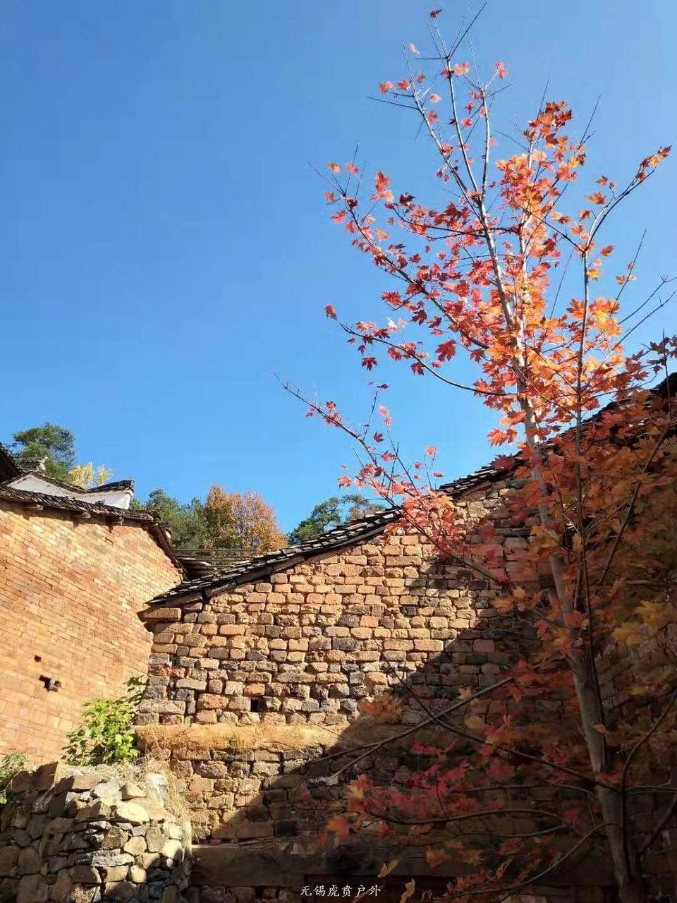 微信图片_20191123192918