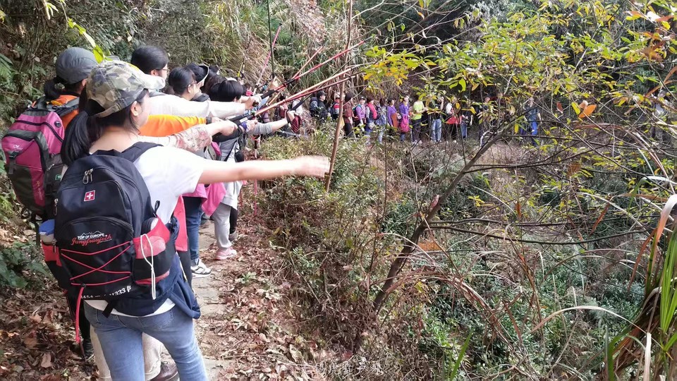 微信图片_20191124184413