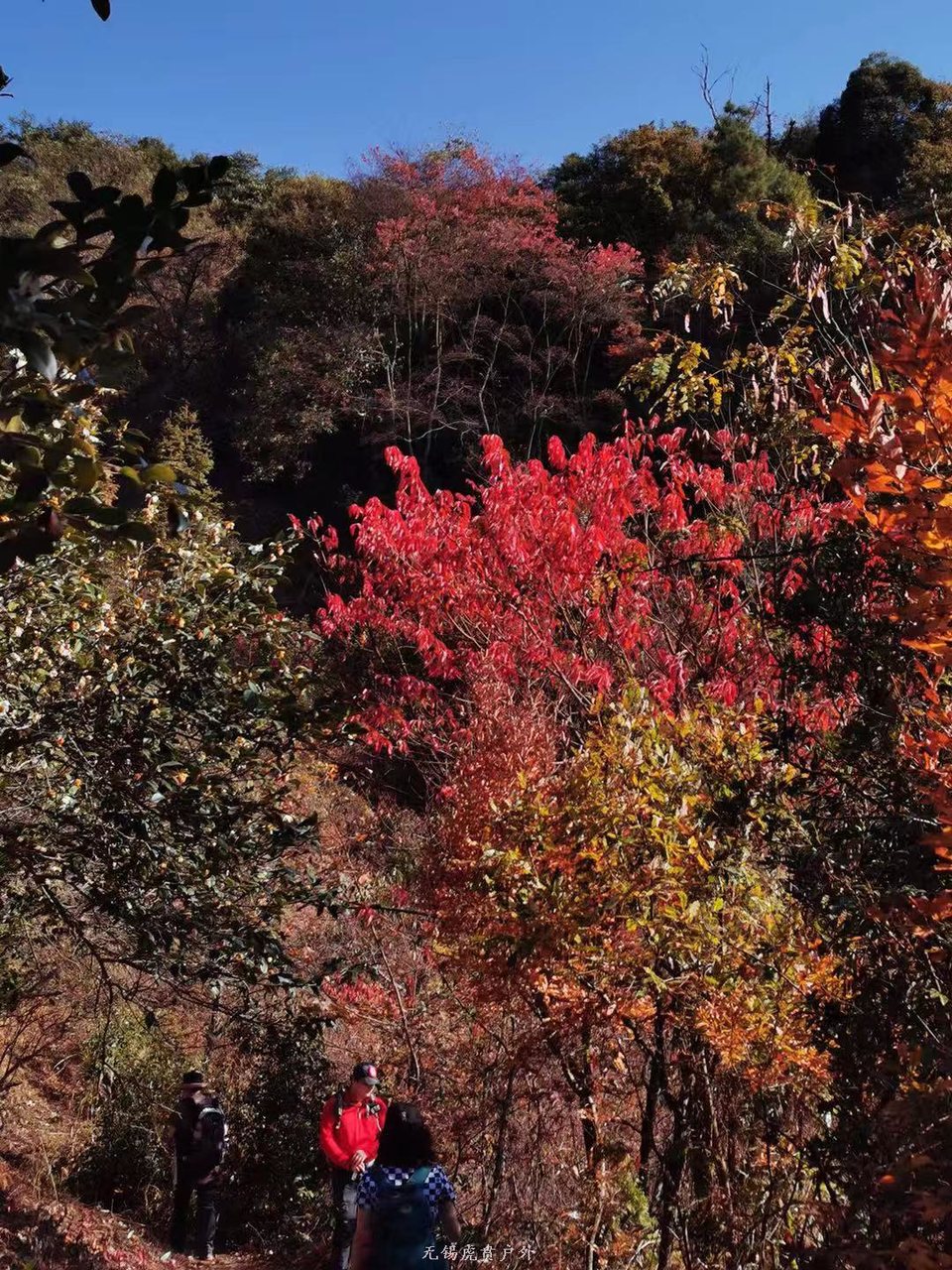 微信图片_20191124184427