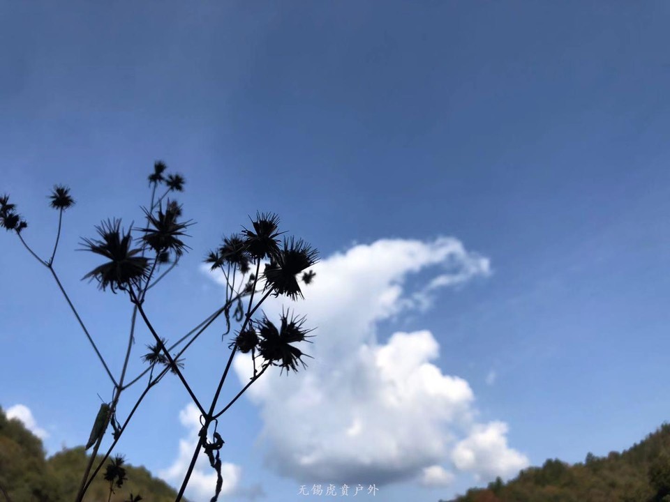 微信图片_20191124184435