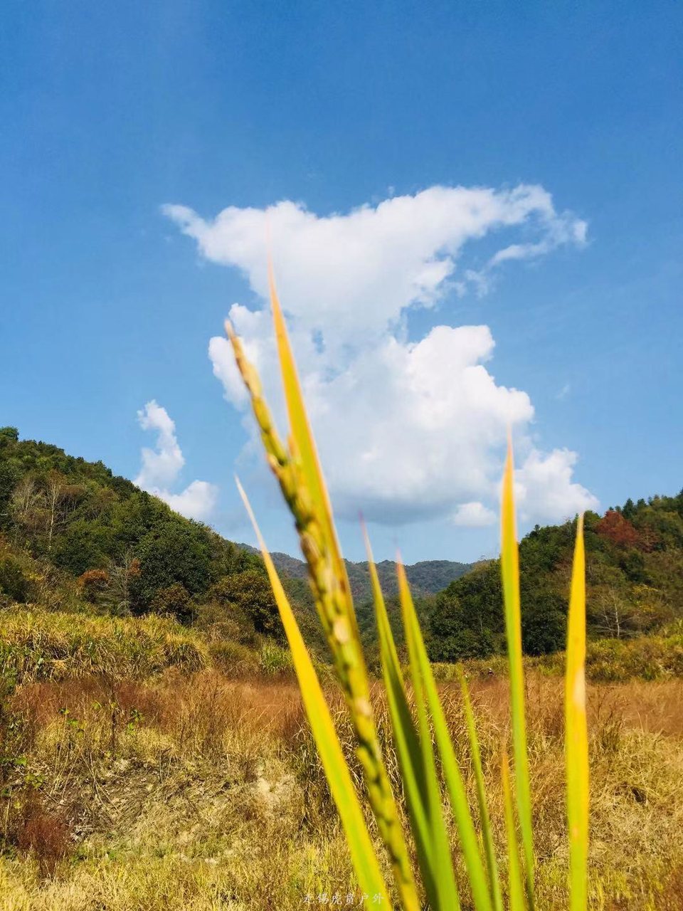 微信图片_20191124184454